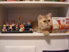 【お題日記】節分、どうしてます？