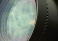 見るもの全てにありがとう