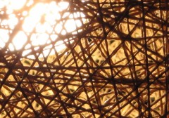 灯りのさすゴールへ向かって