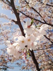 はじめまして♡