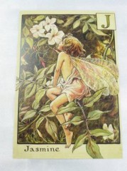 【お題日記】妖精、宇宙人、妖怪などの目撃エピソード