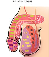 【お題日記】携帯にHな写真入ってる？