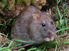 【お題日記】最近感動したこと