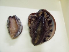 【お題日記】高尚な下ネタをお願いします！