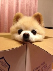 ふっかーつ！！！