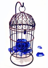 【お題日記】パートナーには言えない性の悩み