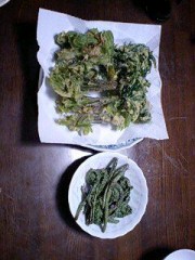 ゴールデンウィークも終わり