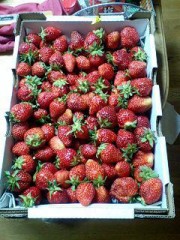 そんなに食べれるか・・・１５