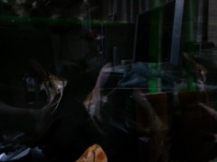 最近、また熱帯魚飼い始めました。