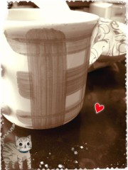 おはようございます(^^)