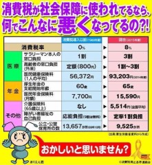 インチキ消費税