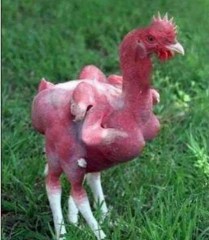 おまえが食わされる肉だ、ギャハハ