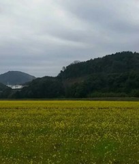 宝石箱やぁ(*´∀｀)ノ