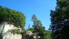 【お題日記】毎日見ているサイトはありますか？