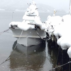 【お題日記】あなたの好きな格言