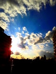 にゃああぁ(^･ω・＾))