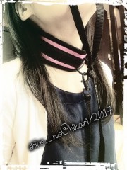 2017年   初めての首輪