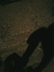 ★コーデ(コート編)★