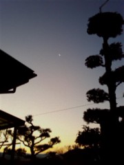 ★朝焼け寸前★