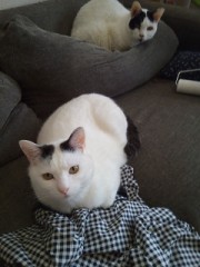 来週の帰省に向けて