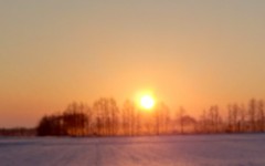 【お題日記】令和7年の抱負をどうぞ