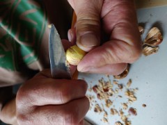 こんなに剥きやすいんだ！