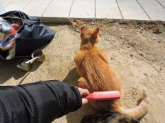 やっと　晴れたか～・・・・・・