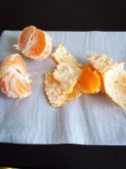 一番好きなのはグレープフルーツ