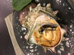 本日のコンパニオン