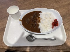 牛すじカレー食べたんだけど