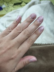 【お題日記】一番好きなジブリ映画はどれ？