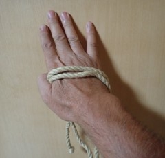 【お題日記】自分のカラダで気に入っているところ