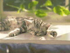 今日もあと少し・・・