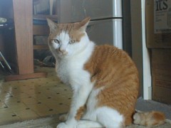 衣食足りて、礼節を知る