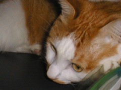 北京オリンピック公式スポンサー