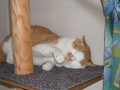 「何ですか！」って、こっちが聞きたい!!??