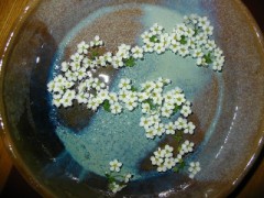 最近一寸ショックだった事！