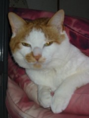 集会場が、、駐車場に！