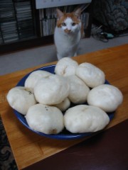 どっちがいい？シリ～ズ