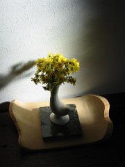 【お題日記】最近買った家電おしえて！