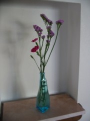 錦松梅、久しぶりに食べた。