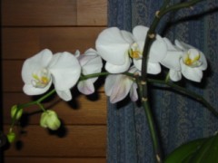 続き、こわ～いはなし！　そのⅡ