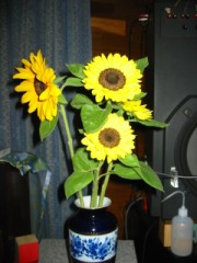 あまりの暑さに時計が壊れる。