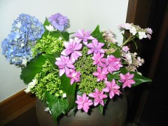 【お題日記】感情が顔に出やすいタイプ？