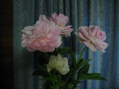 【お題日記】初めて2人きりになった時の相手の反応は？