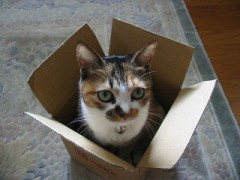 【お題日記】自分のサイン考えたことある？