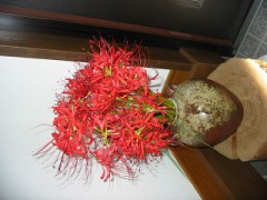 【お題日記】縛りたい・縛られたいと言われたら？