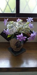 紫陽花　その５