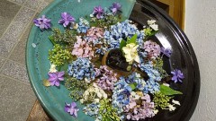 紫陽花　その11