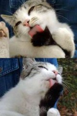 【お題日記】今年中にやりたいことは！？